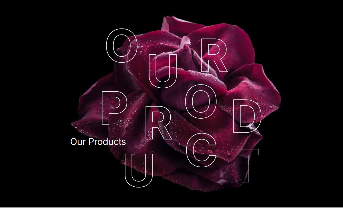Products – Advanced Art
